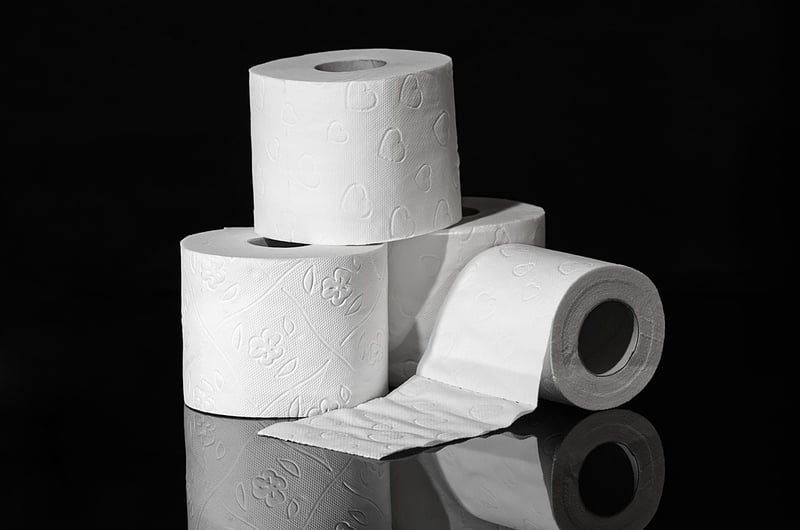 Toilet paper roll characters